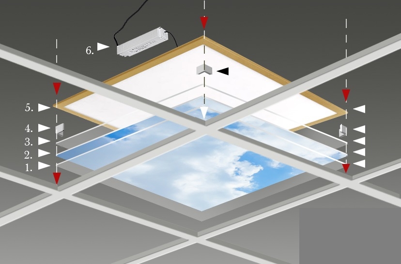FOTOPRINT afbeelding klaproos verdeeld over 4 panelen 595 x 595 mm - Afbeelding 2